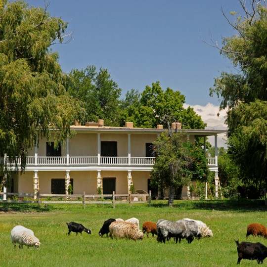 Los Luceros Historic Site