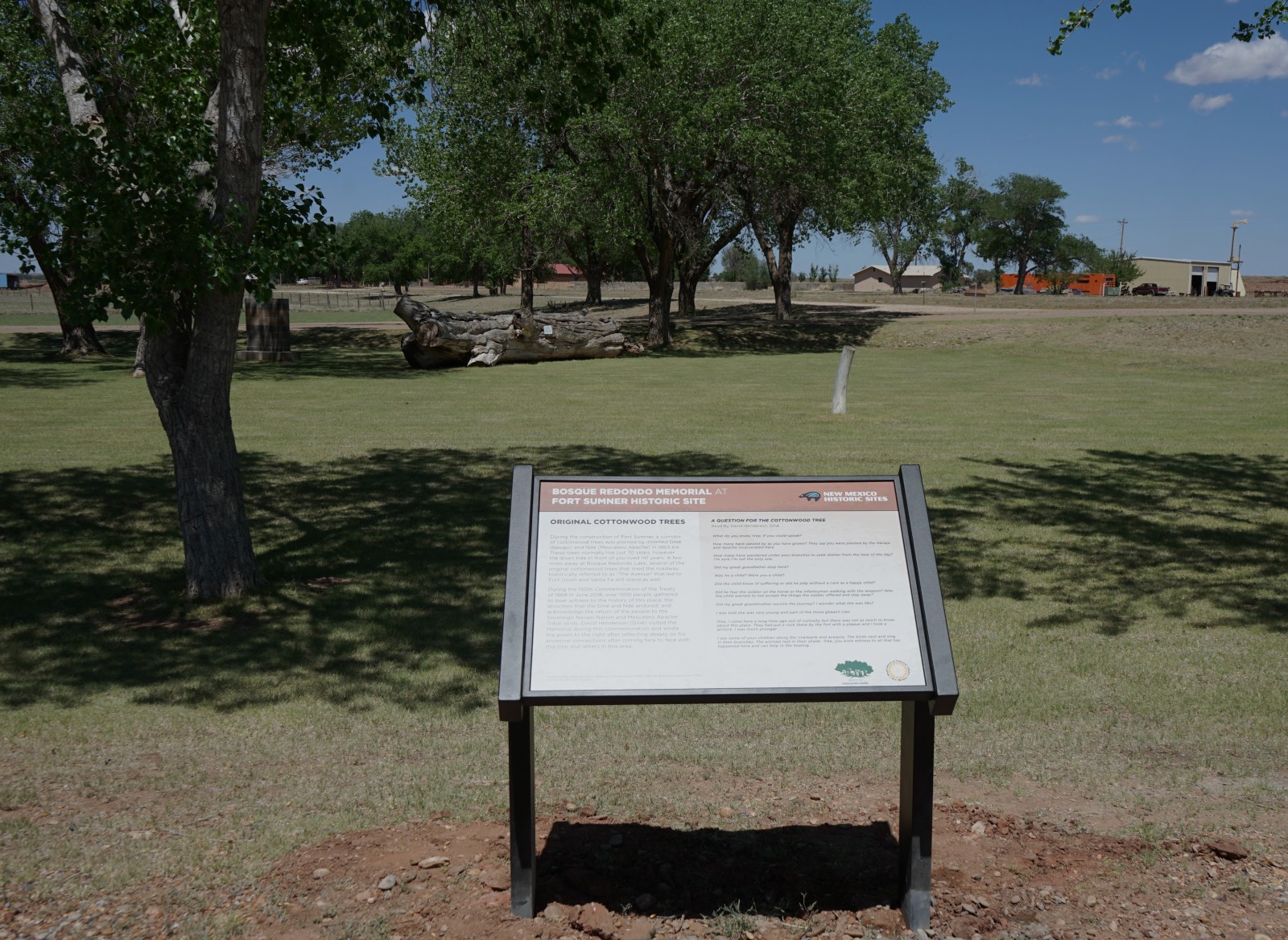 Bosque Redondo Memorial Stop Original Cottonwood Tree, with downed cottonwood tree in the foreground.