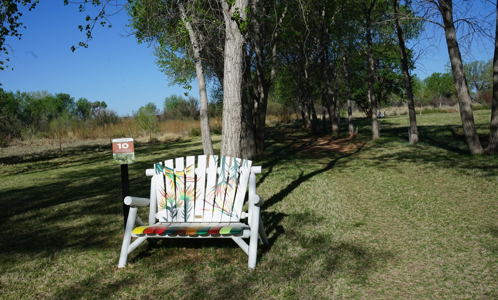 Bosque Redondo Memorial Natural Trail Audio Tour Stop 10 beside painted bench and cottonwood trees.