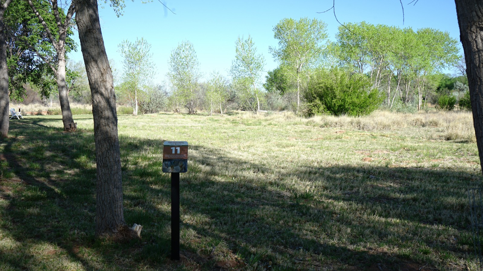 Bosque Redondo Memorial Natural Trail Audio Tour Stop 11 beside cottonwood tree, with trees in the foreground.