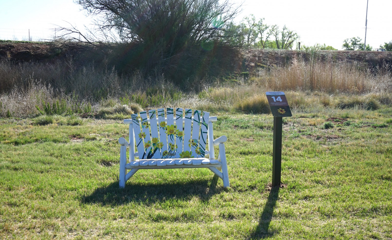 Bosque Redondo Memorial Natural Trail Audio Tour Stop 14 beside painted bench, with trees in the foreground.
