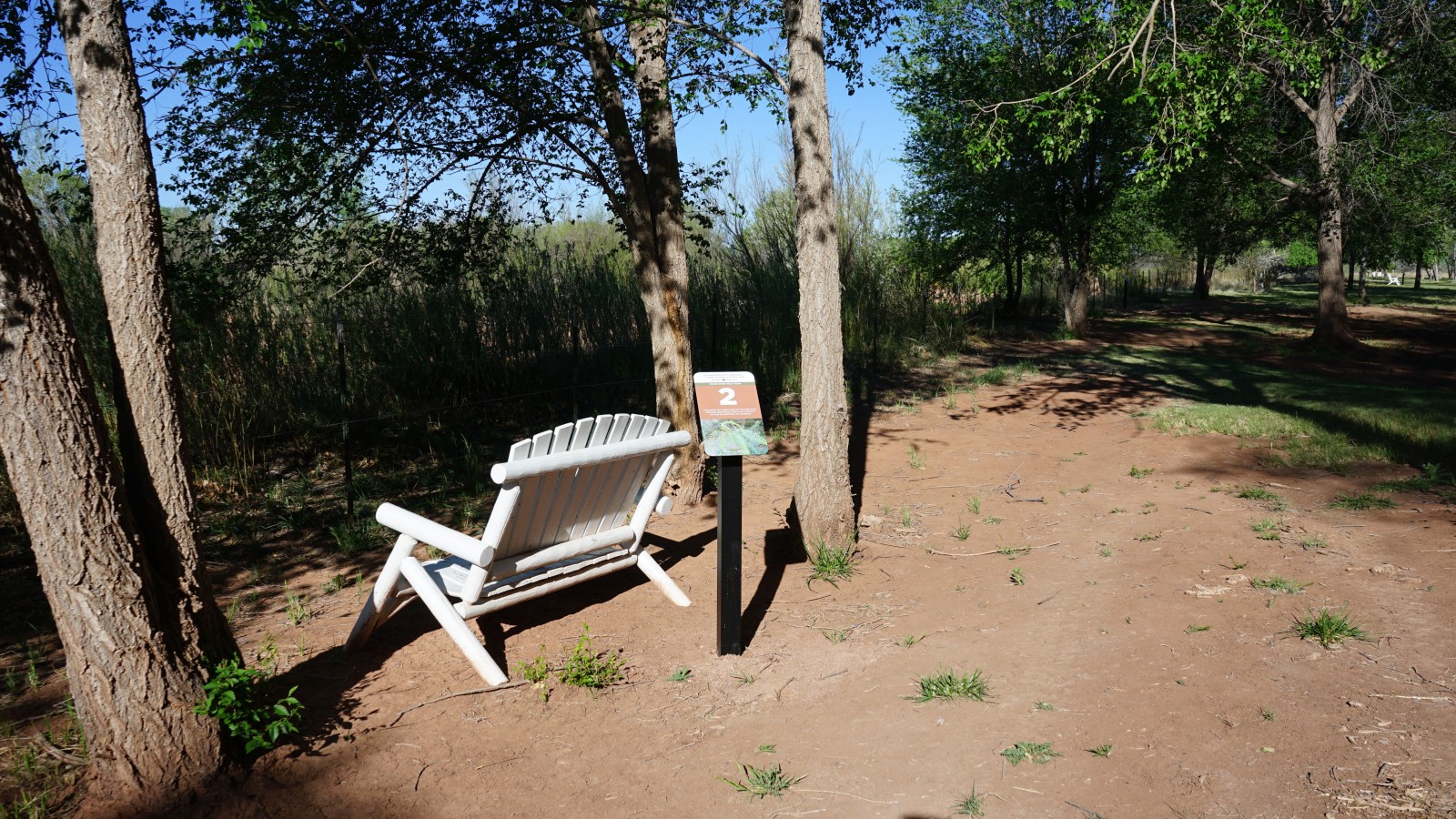 Bosque Redondo Memorial Natural Trail Audio Tour Stop 2 beside bench and cottonwood trees.