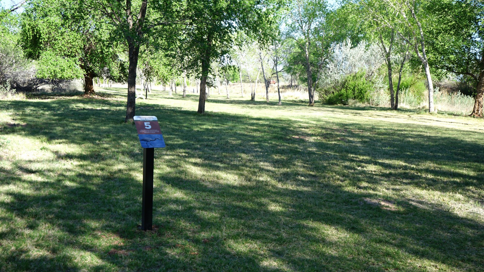 Bosque Redondo Memorial Natural Trail Audio Tour Stop 5 surrounded by cottonwood trees and lush grass.
