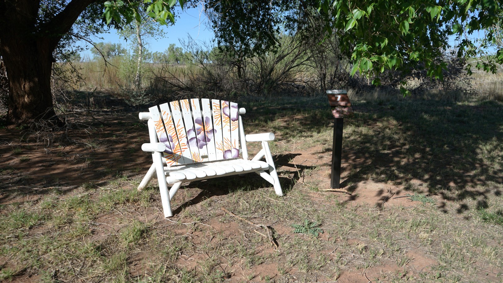 Bosque Redondo Memorial Natural Trail Audio Tour Stop 7 beside painted bench and trees.