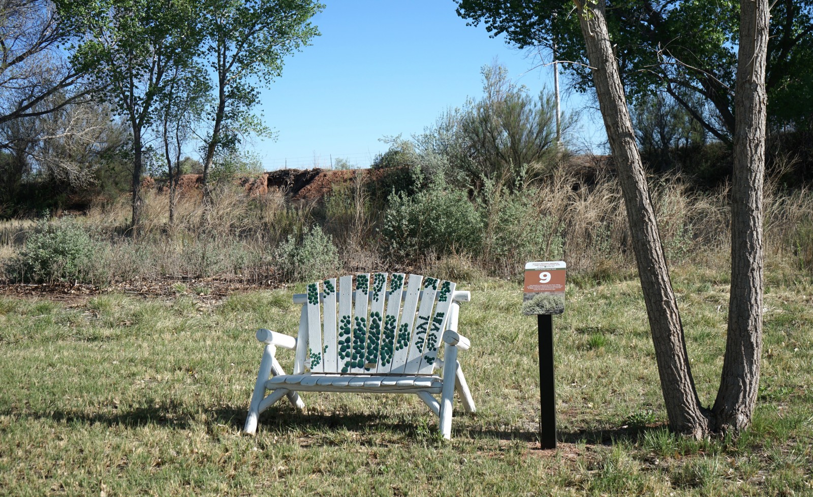 Bosque Redondo Memorial Natural Trail Audio Tour Stop 9 beside painted bench and cottonwood trees.
