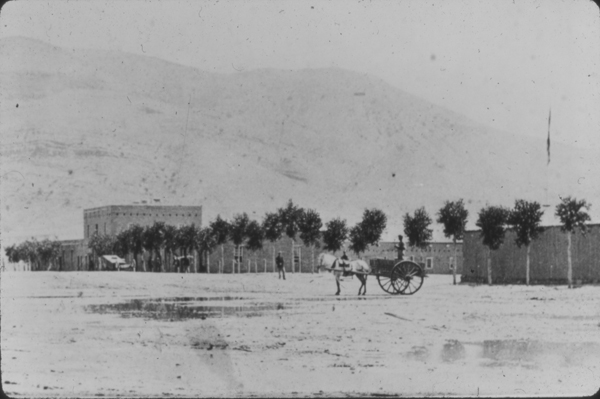A historic image of Fort Selden from the Post Road (also known as El Camino Real de Tierra Adentro). Note, the line of trees planted along the fort's walls. Negative # 055045. 