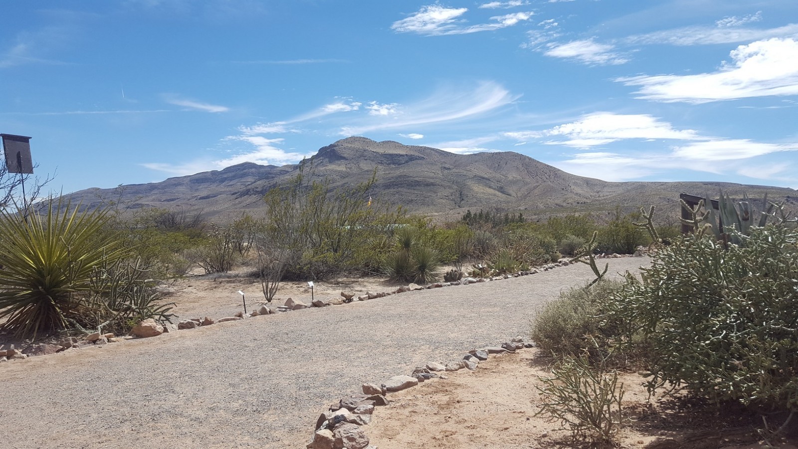 The Robledo Mountains to the southwest of Fort Selden Historic Site.