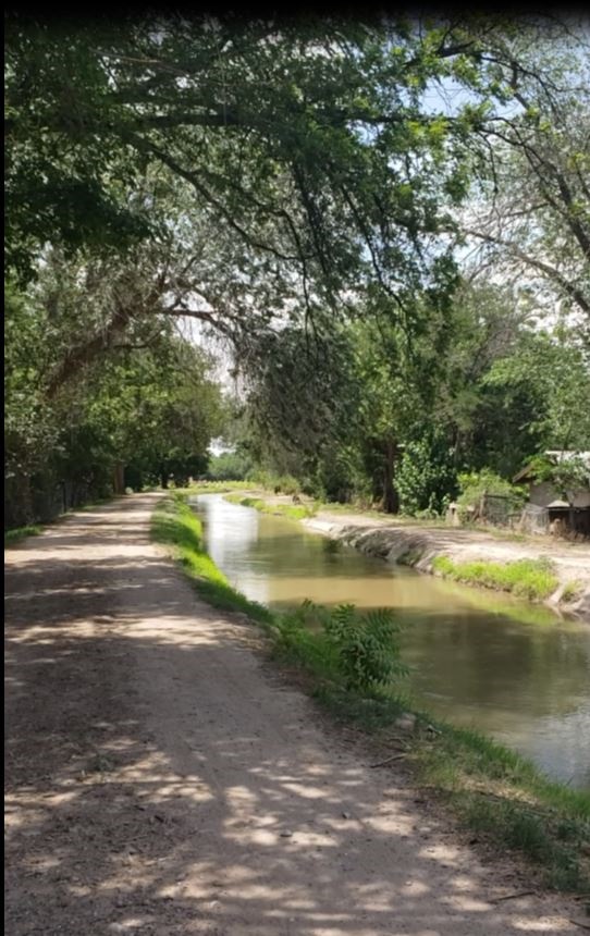 The acequia madre (main irrigation ditch) in Mesilla, to the west of the Taylor-Mesilla Historic Property.